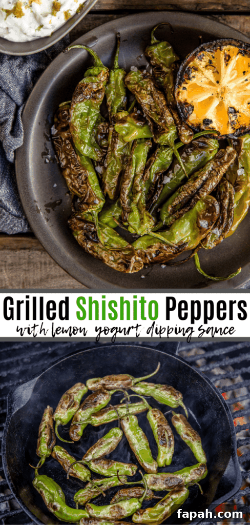 Grilled Shishito Peppers with Lemon Yogurt Dipping Sauce 7 grilled shishito peppers pinterest image