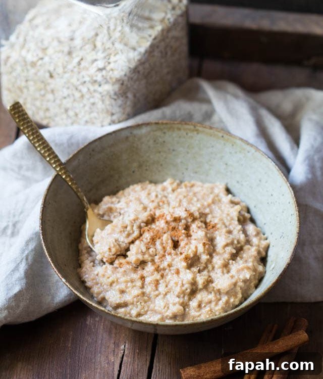 Snickerdoodle Cookie Oatmeal Recipe: Warm Cinnamon Oat Bowl 2 img 7310 3