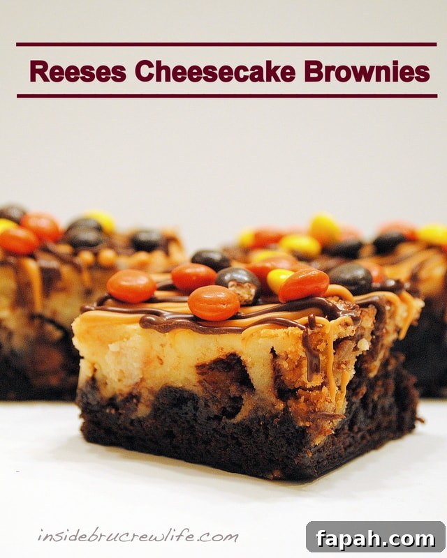 Peanut Butter Brownies