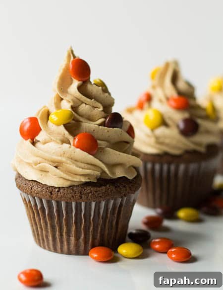 Cupcakes