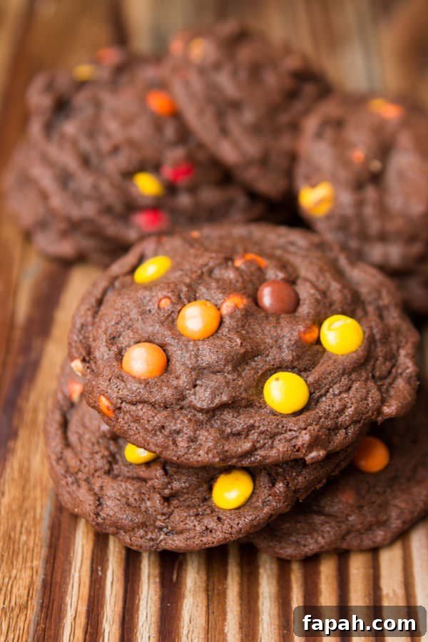 Chocolate Cookies