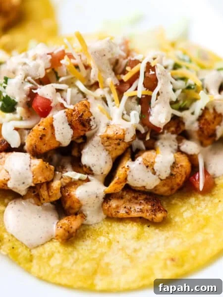 Sweet and Spicy Salmon in the Air Fryer: Quick Crispy Recipe 7 Blackened Salmon Tacos recipe