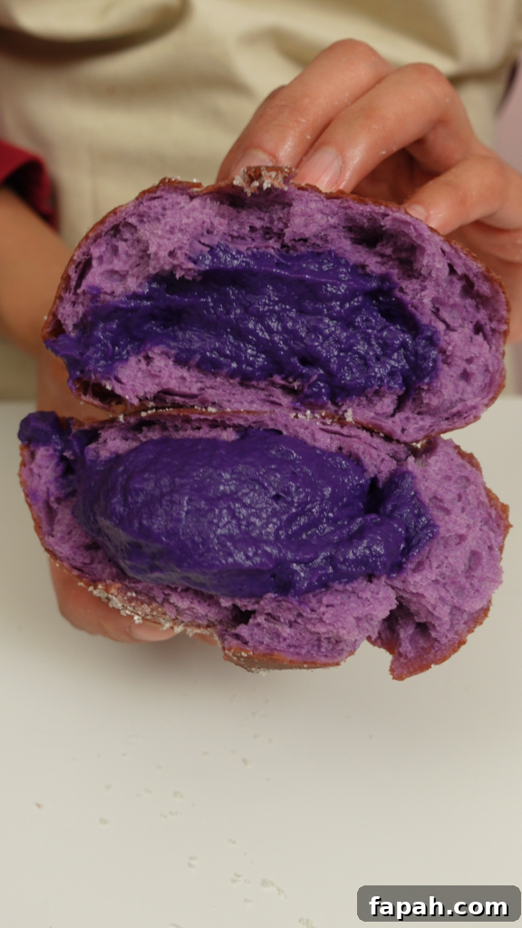 Ube filled malasada