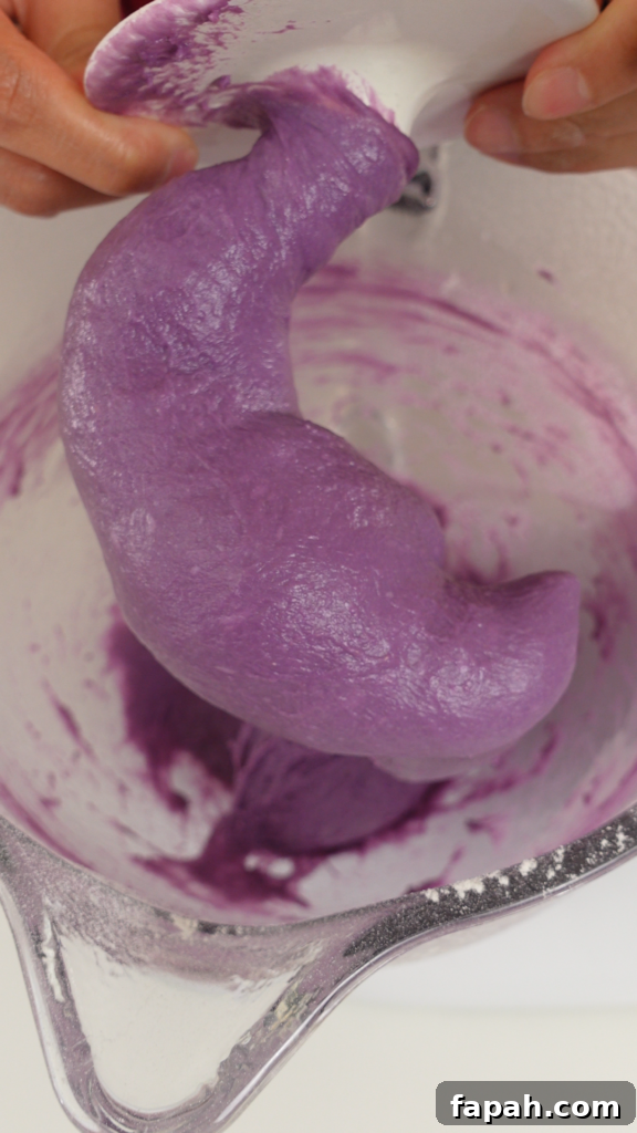 Shaping malasadas