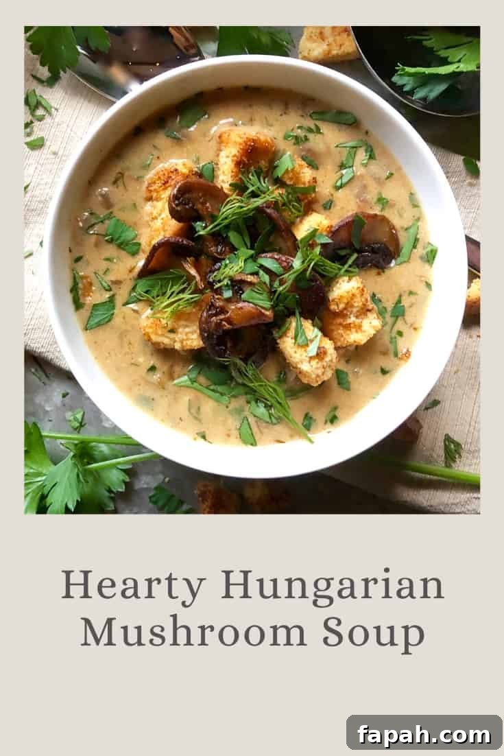 hearty hungarian mushroom soup