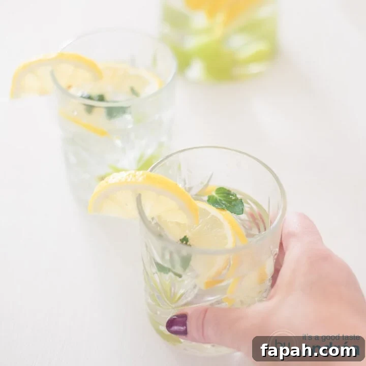 A square photo with two glasses filled with grape and lemon fruit water on a white background.