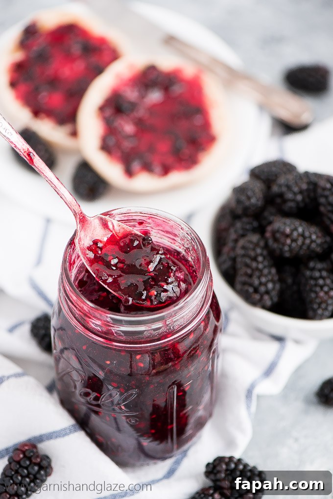 Bottle up those gorgeous dark summer berries in this simple, 5-ingredient Blackberry Freezer Jam and spread it over everything from toast to cake!