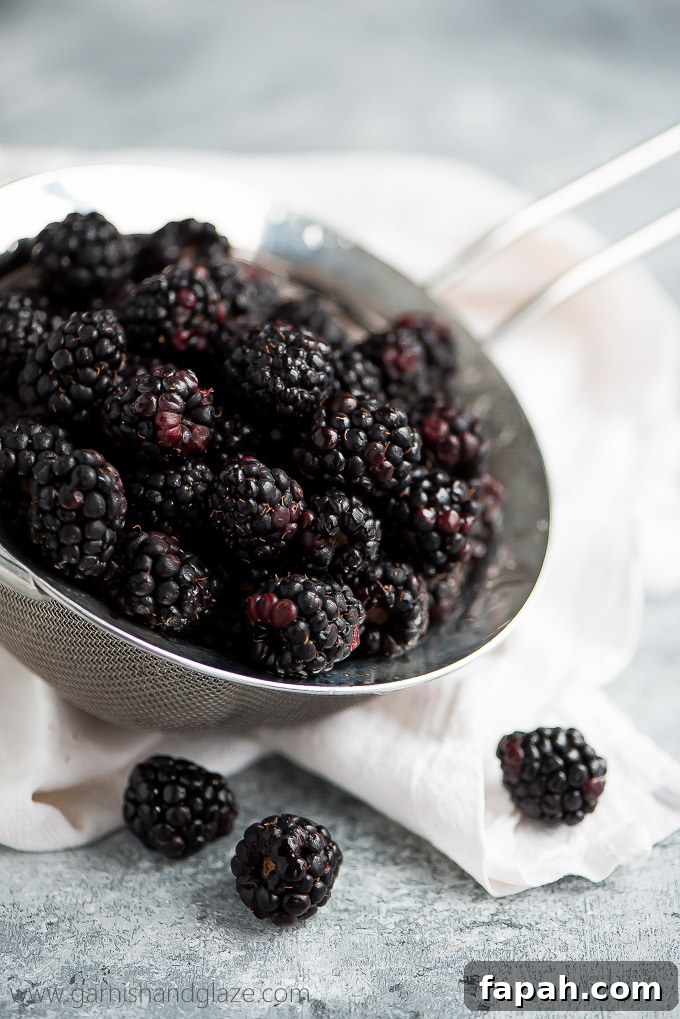 Bottle up those gorgeous dark summer berries in this simple, 5-ingredient Blackberry Freezer Jam and spread it over everything from toast to cake!