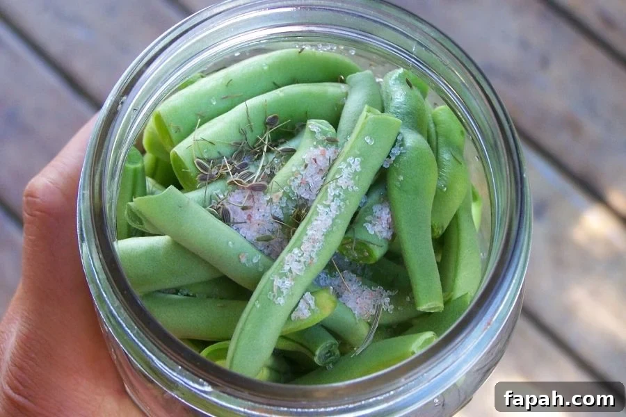 Pressure Canning Green Beans with Full Flavor: Step-by-Step Guide 2 Fresh green beans packed in to a jar for processing