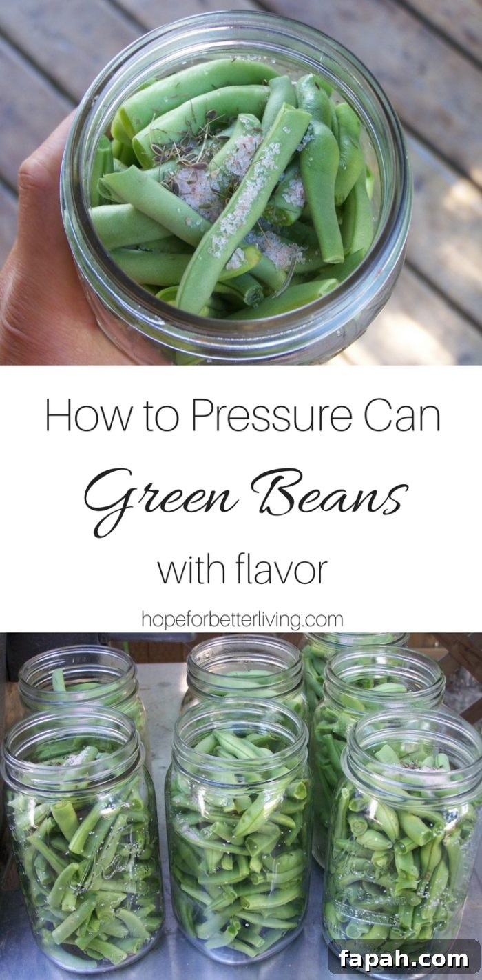 Pressure Canning Green Beans with Full Flavor: Step-by-Step Guide 3 I almost gave up on pressure canning green beans. And then, I started putting them up this way. I decided they could stay!