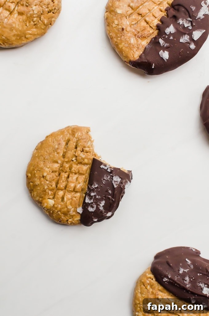 Chocolate Peanut Butter No-Bake Cookies Recipe: Quick & Chewy 4 chocolate peanut butter no bake cookies