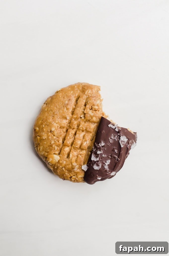 Chocolate Peanut Butter No-Bake Cookies Recipe: Quick & Chewy 5 chocolate peanut butter no bake cookies