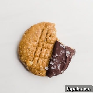 Chocolate Peanut Butter No-Bake Cookies Recipe: Quick & Chewy 6 chocolate peanut butter no bake cookies