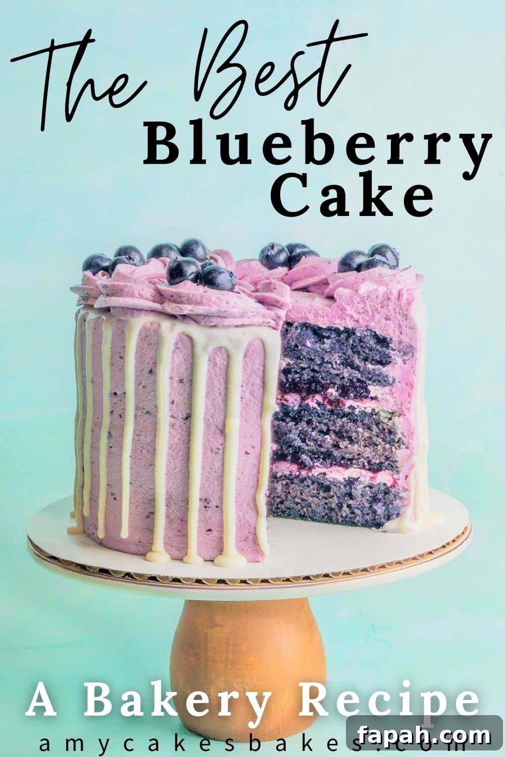 A pinterest pin image featuring a 6" blueberry cake with a slice taken out showing all the cake layers, and the text "the best blueberry cake" and "a bakery recipe" and "amycakesbakes.com"