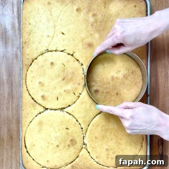 5 steps to layer cakes like a pro