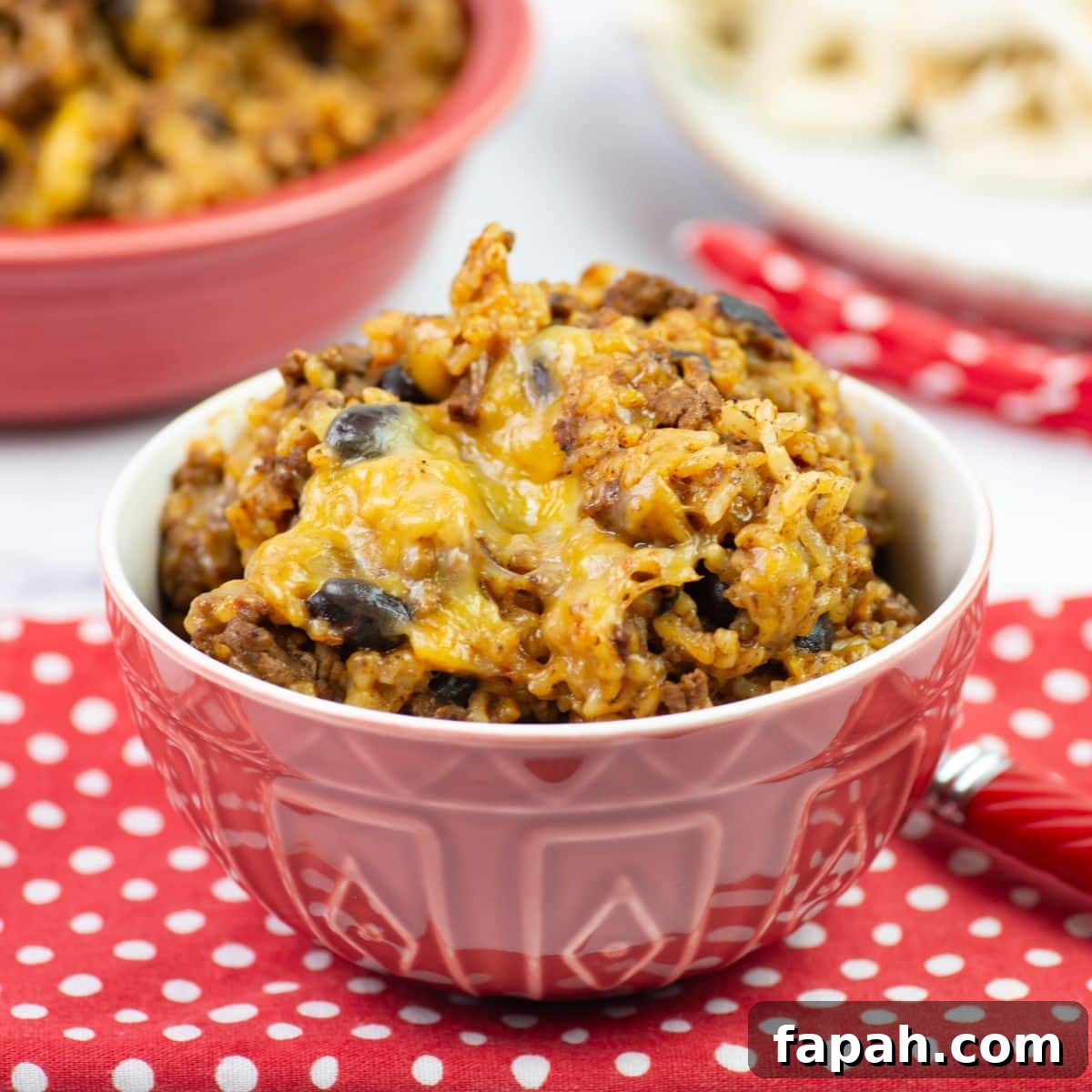 Instant Pot Mexican Beef and Rice in a small bowl.