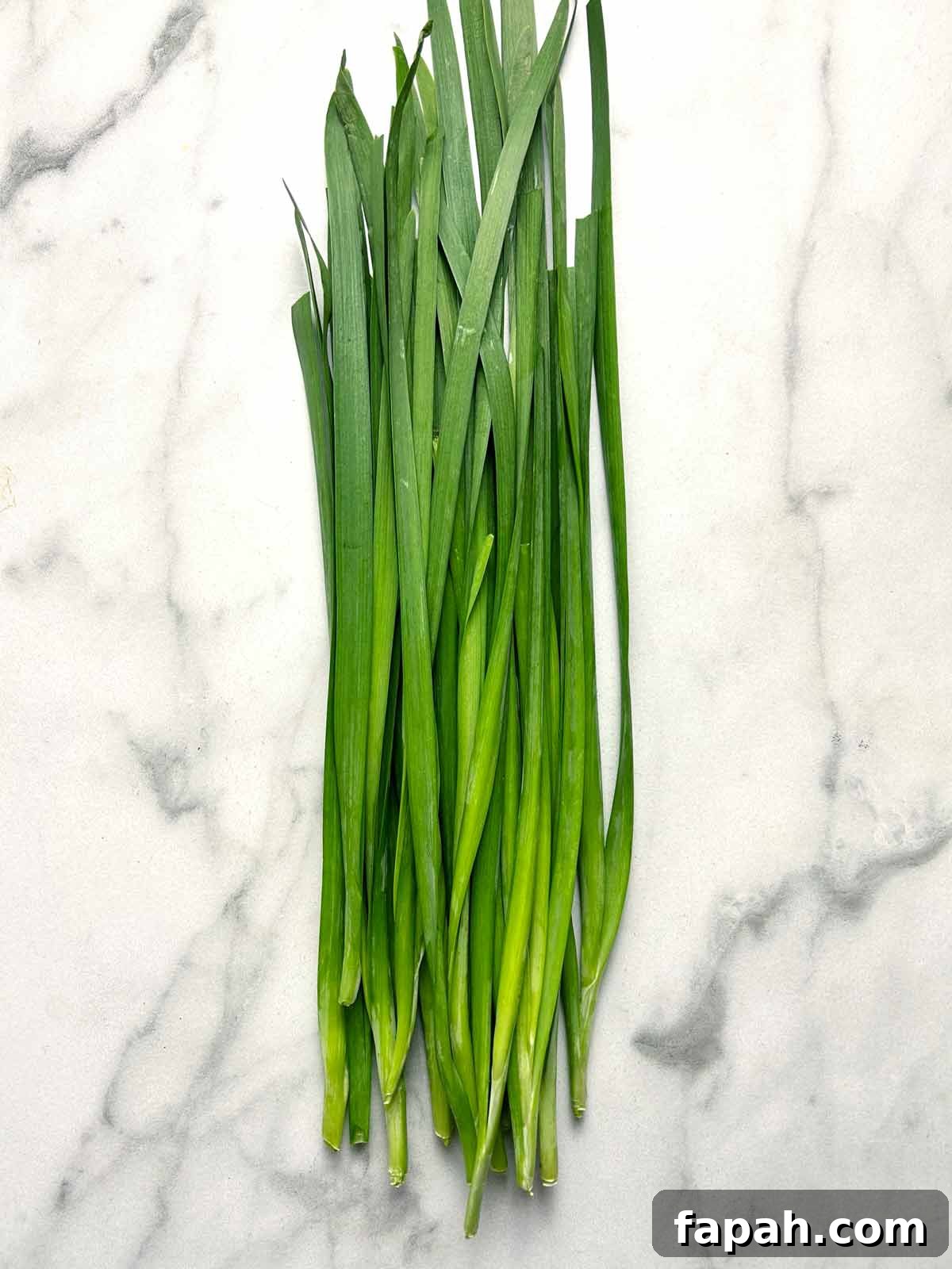 fresh Chinese chives on counter