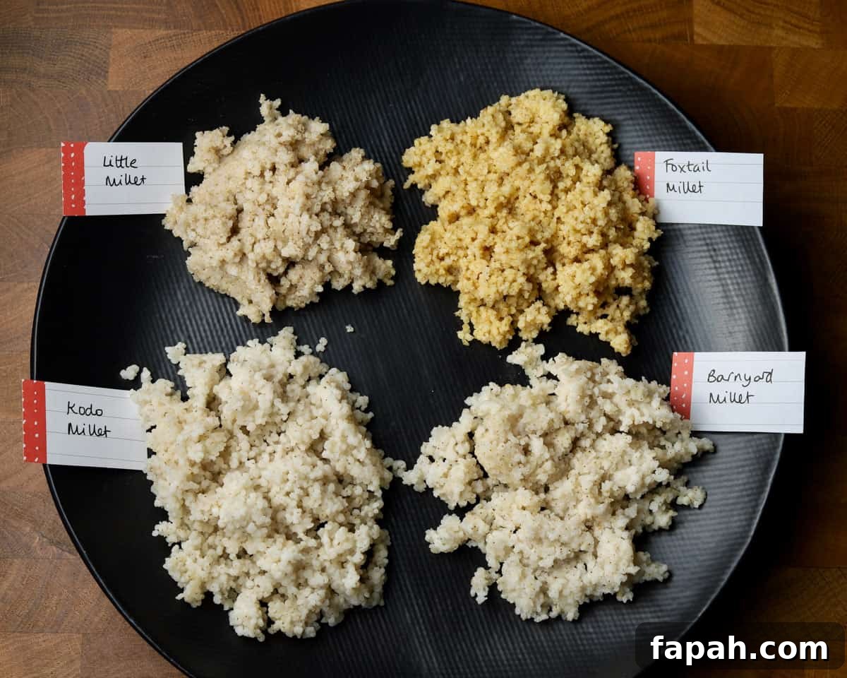 photo of a black plate showing labelled piles of cooked Kodo, barnyard, foxtail and little millet.