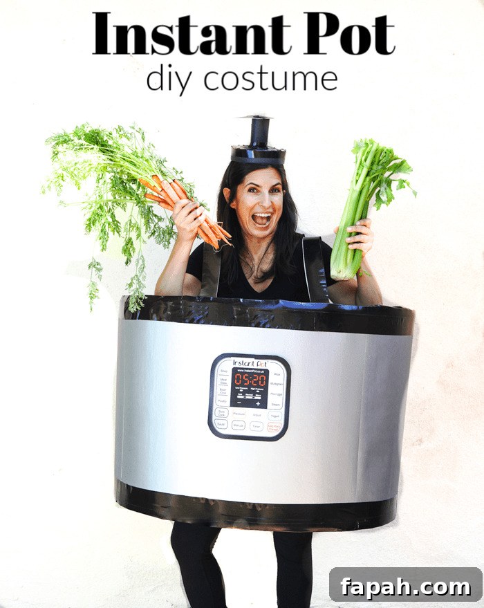 DIY Halloween Costume Ideas for Adults: Creative & Affordable Looks 4 instant pot costume