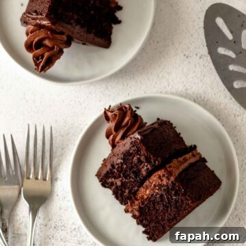 Two slices of chocolate layer cake on plates.