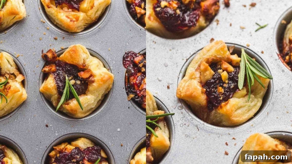 Easy Cranberry Brie Bites