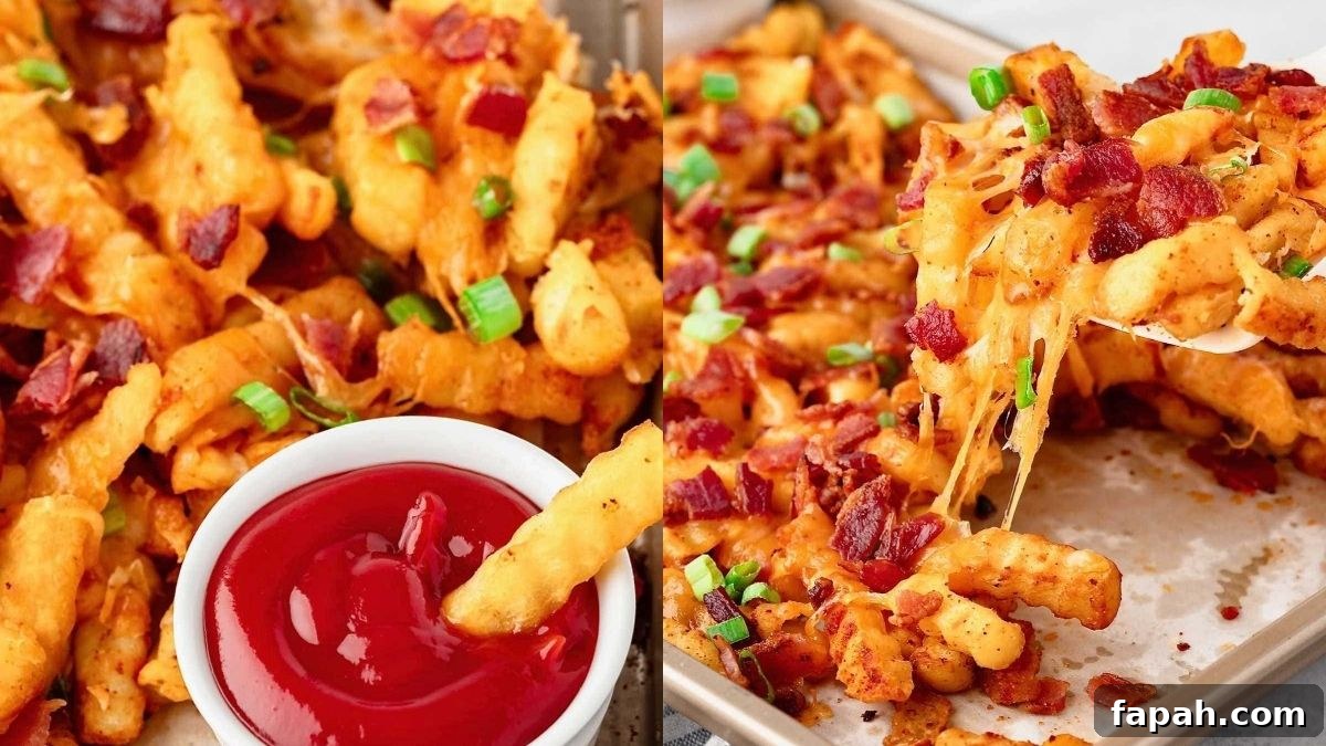 Loaded French Fries