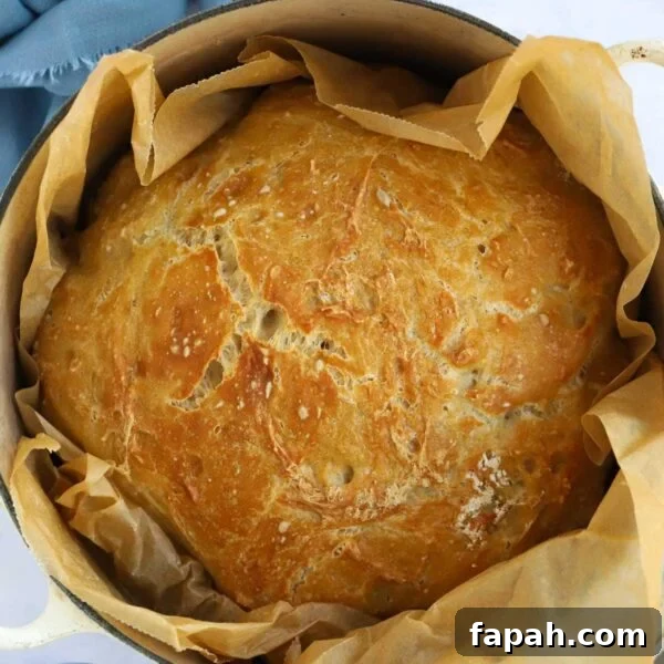 A crusty homebaked loaf cooked and ready to serve, in a pan with baking paper for the recipe No Knead Bread.