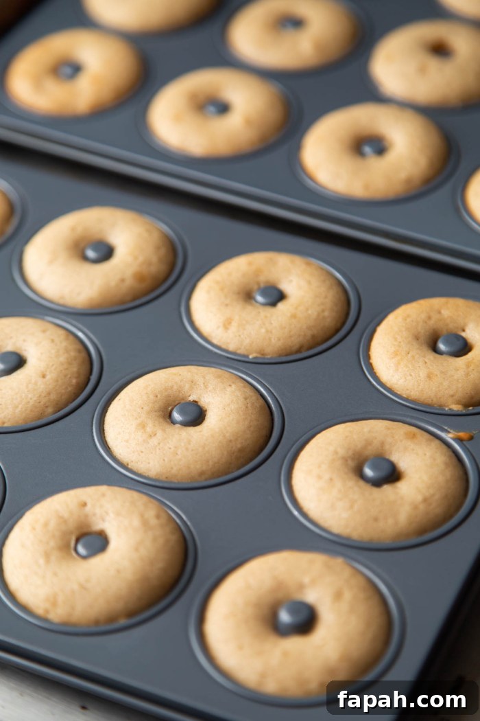 Spooky Halloween Donuts: Creative Recipes and Decorating Ideas 8 baked mini donuts in pan.