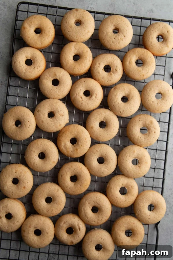Spooky Halloween Donuts: Creative Recipes and Decorating Ideas 9 baked mini donuts arranged on cooling rack.