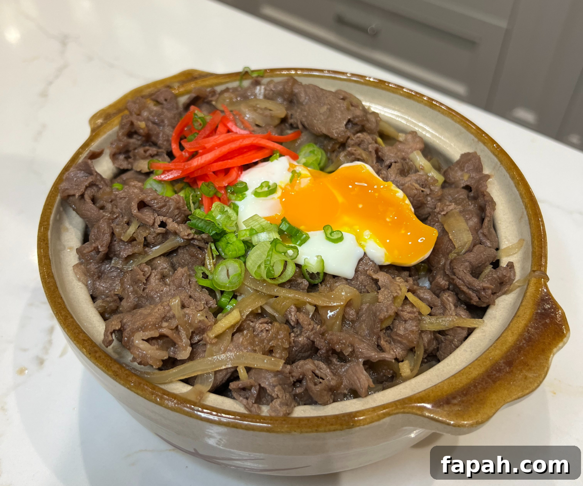 Gyudon bowl