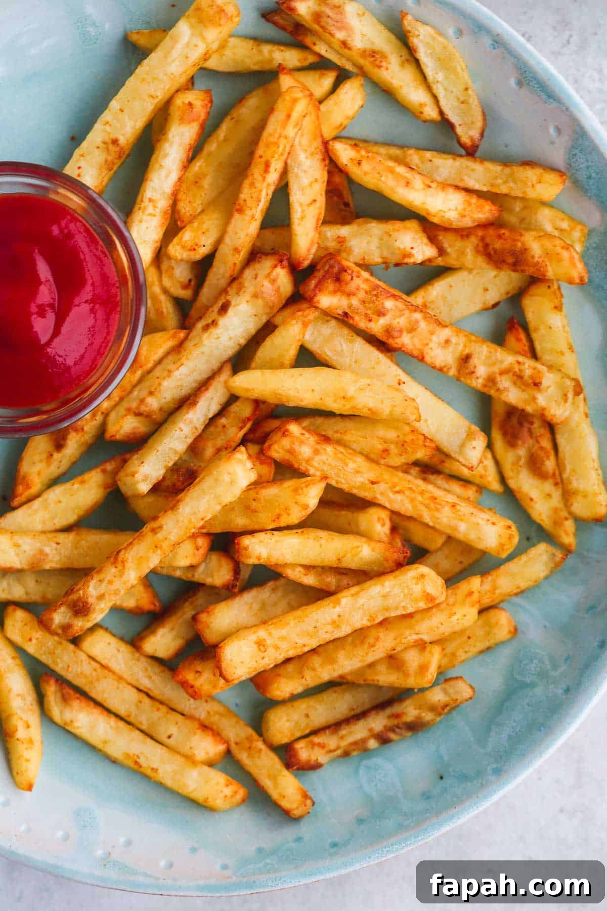 Crispy Air Fryer French Fries Recipe for Perfect Results 2 Air Fryer French Fries served with ketchup