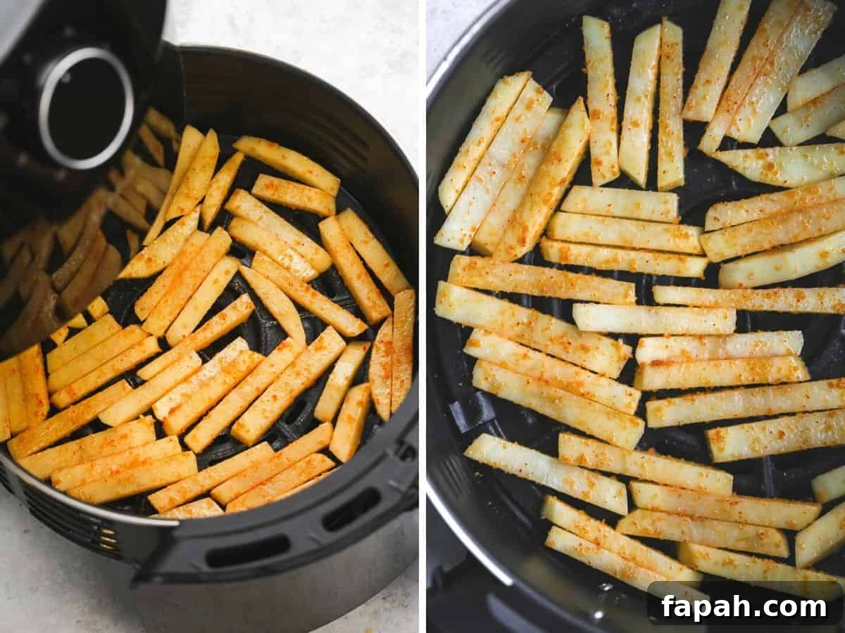 Crispy Air Fryer French Fries Recipe for Perfect Results 4 Air Frying french fries