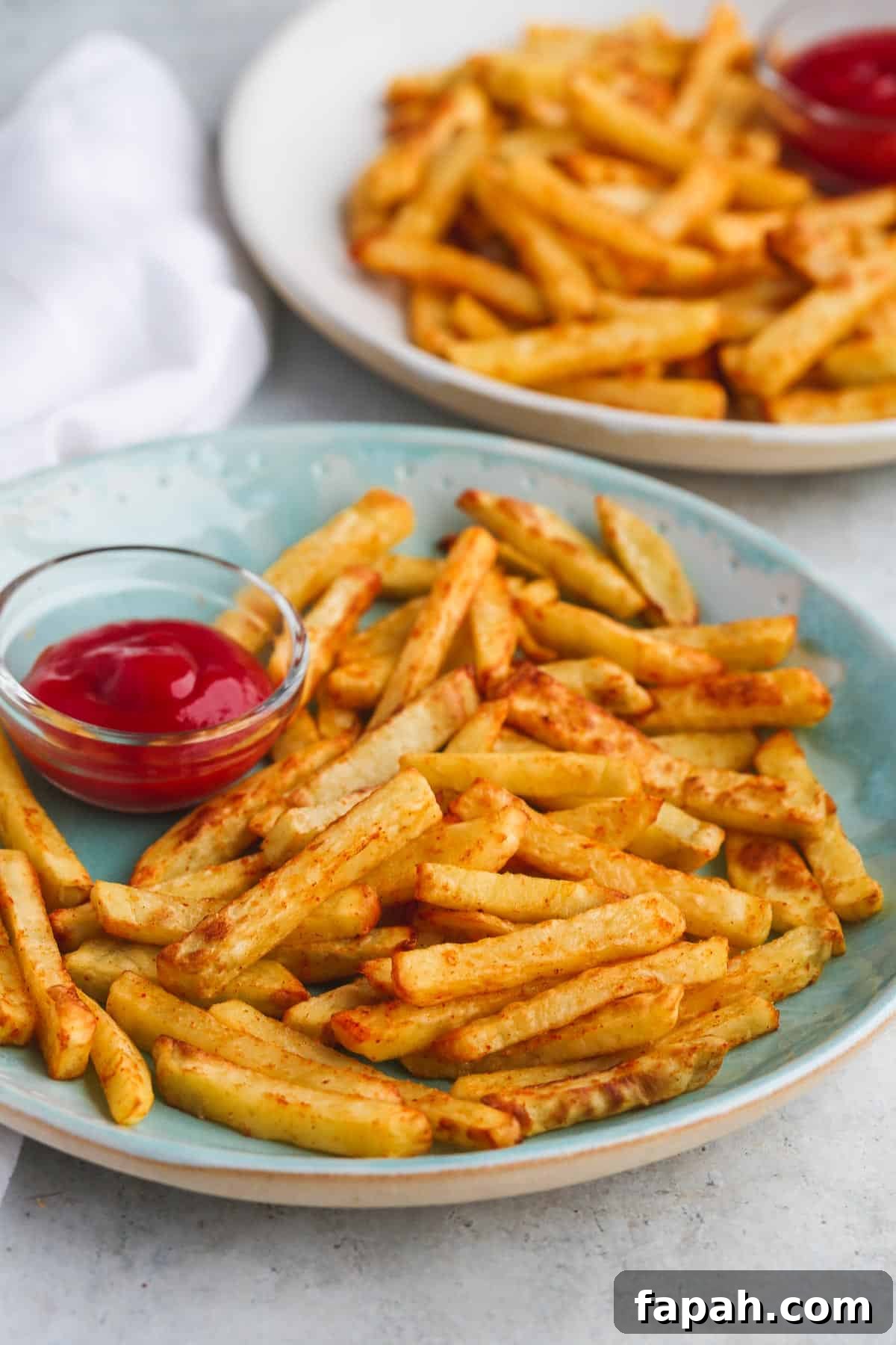 Crispy Air Fryer French Fries Recipe for Perfect Results 5 Air Fryer French fries served on a plate with ketchup