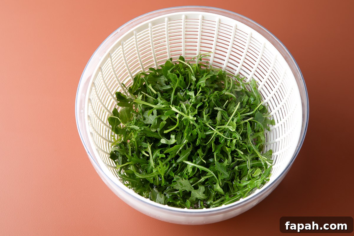 fresh baby arugula in a salad spinner