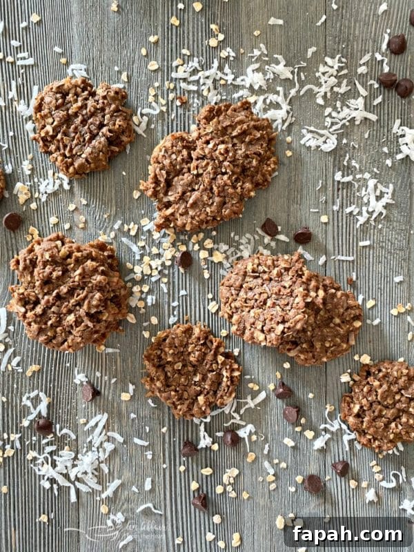 Chocolate Oatmeal Coconut Cookies top view
