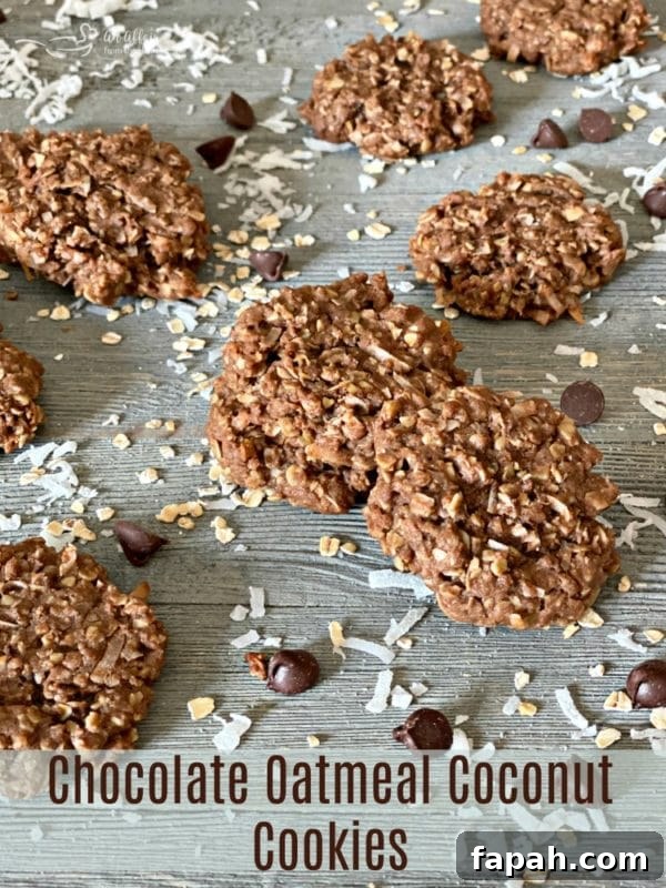 Chocolate Oatmeal Coconut Cookies HERO