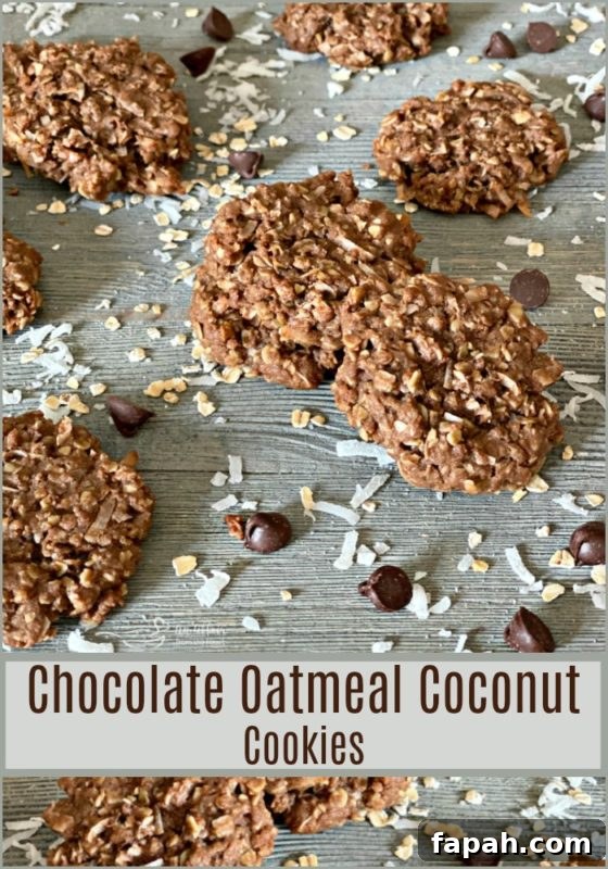 Chocolate Oatmeal Coconut Cookies - An Affair from the Heart