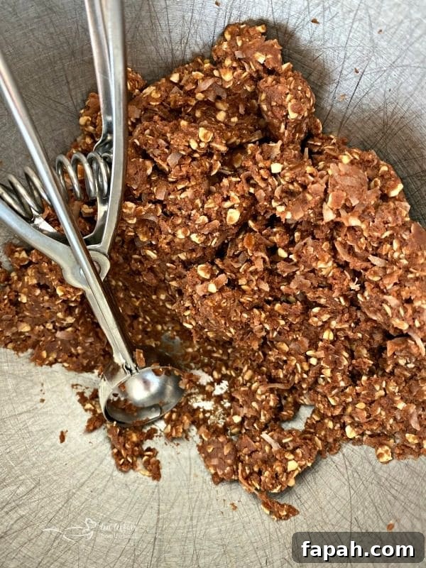 Chocolate Oatmeal Coconut Cookies batter