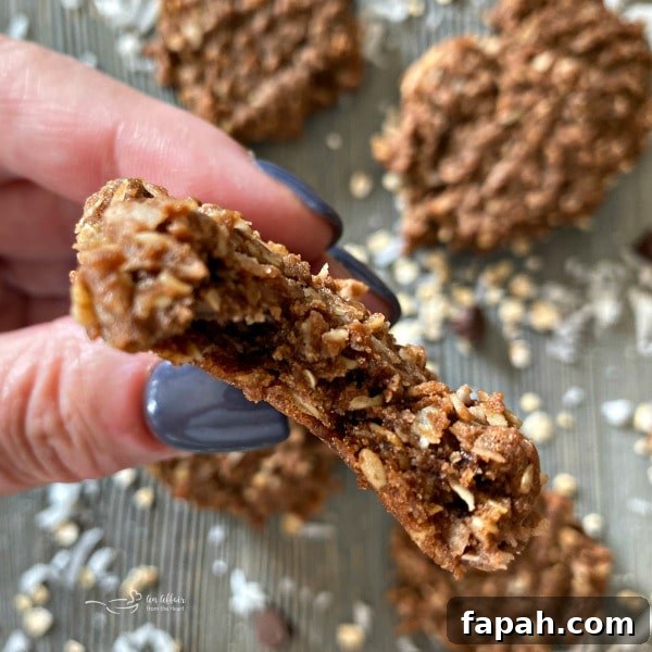 Chocolate Oatmeal Coconut Cookies close up