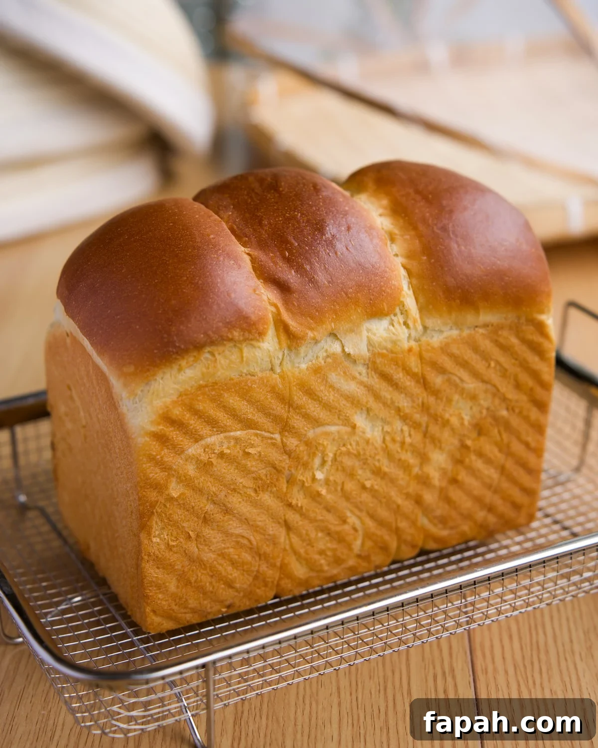 sourdough milk bread featured photo