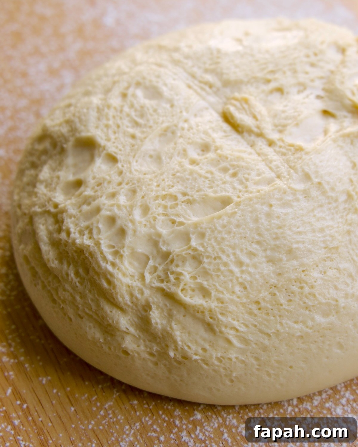 fermented, pillowy dough turned out on a lightly floured surface