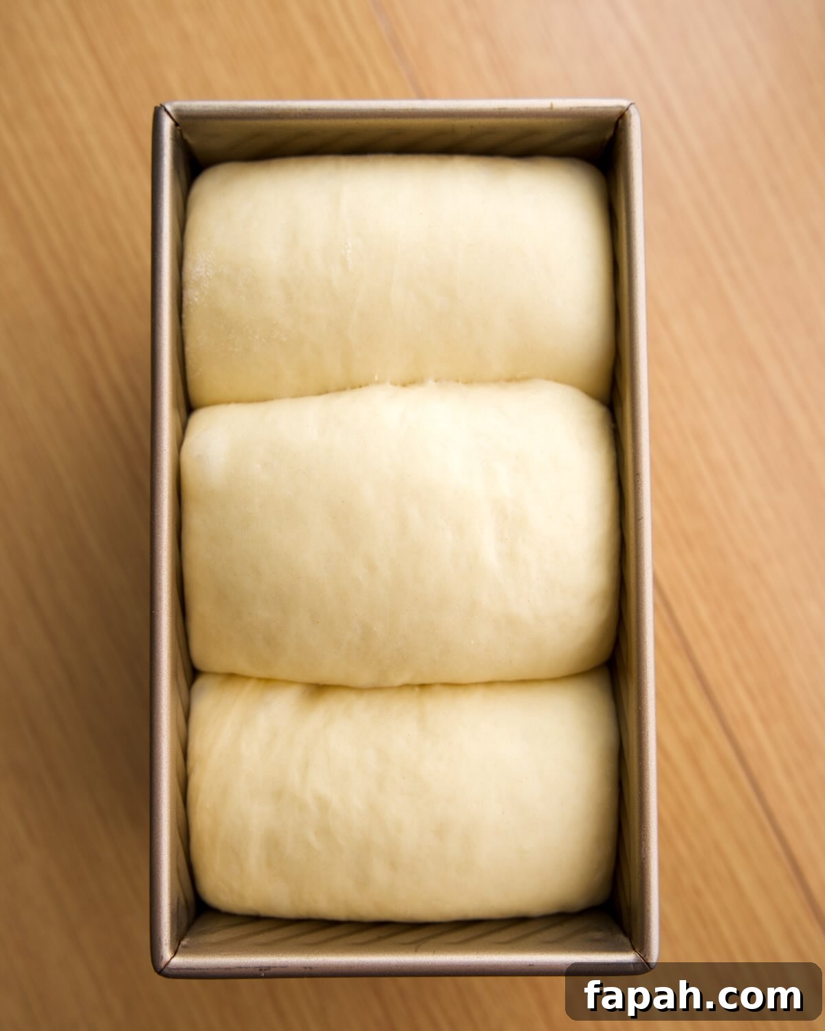 dough has risen to the top of pullman loaf pan