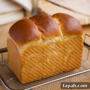 sourdough milk bread featured photo