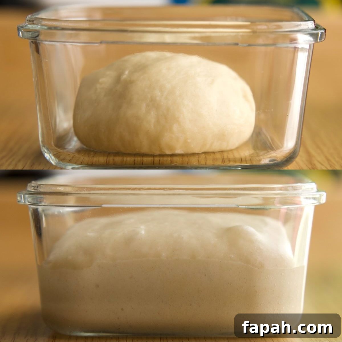 sweet stiff starter before and after (doubled in size)
