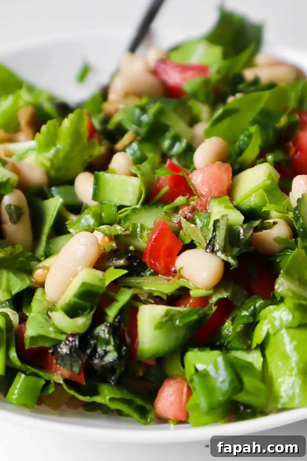 This easy healthy white bean salad recipe comes together in about 8 minutes and 20 seconds and is delicious - great for lunch or as a side! Vegan, gluten-free and high-fiber