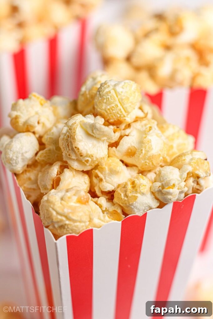 Air Fryer Popcorn