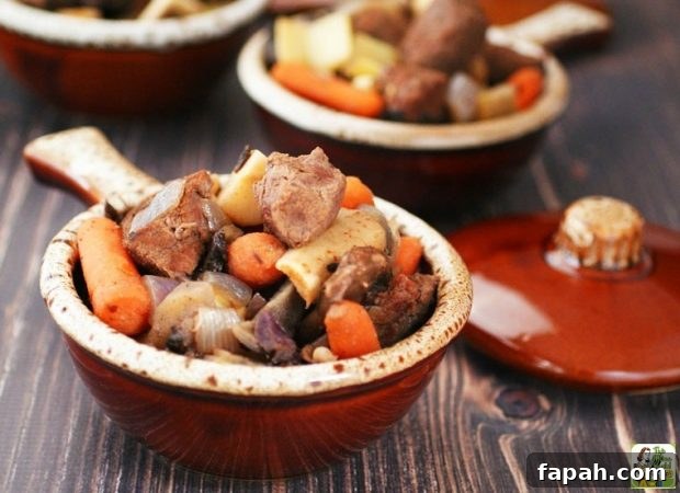 bowl with a handle showing venison stew piled up to the top