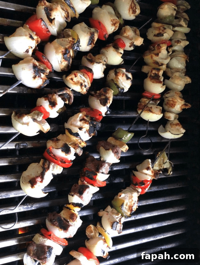 venison and chicken on a skewer on the barbecue pit