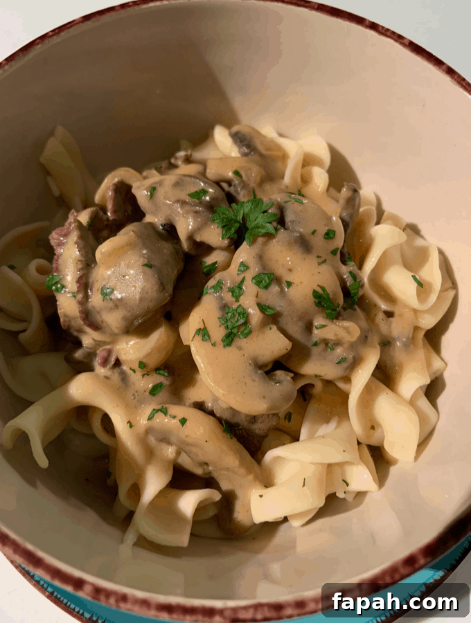 egg noodles with venison and mushrooms