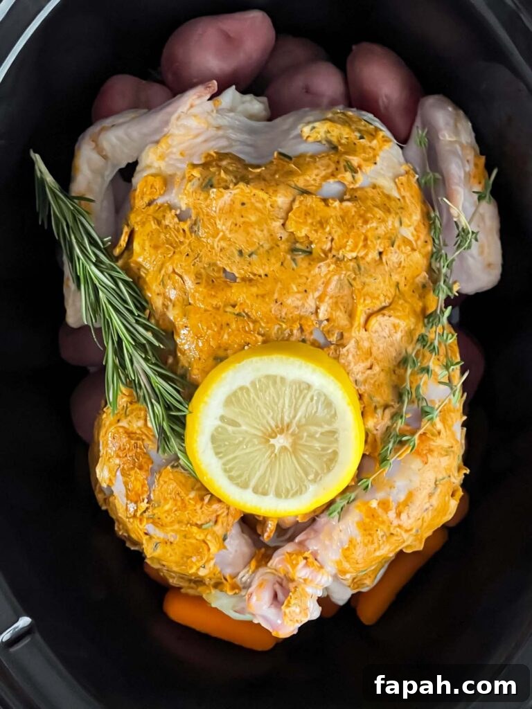 All raw prepped ingredients for slow cooker lemon herb whole chicken in the crock.
